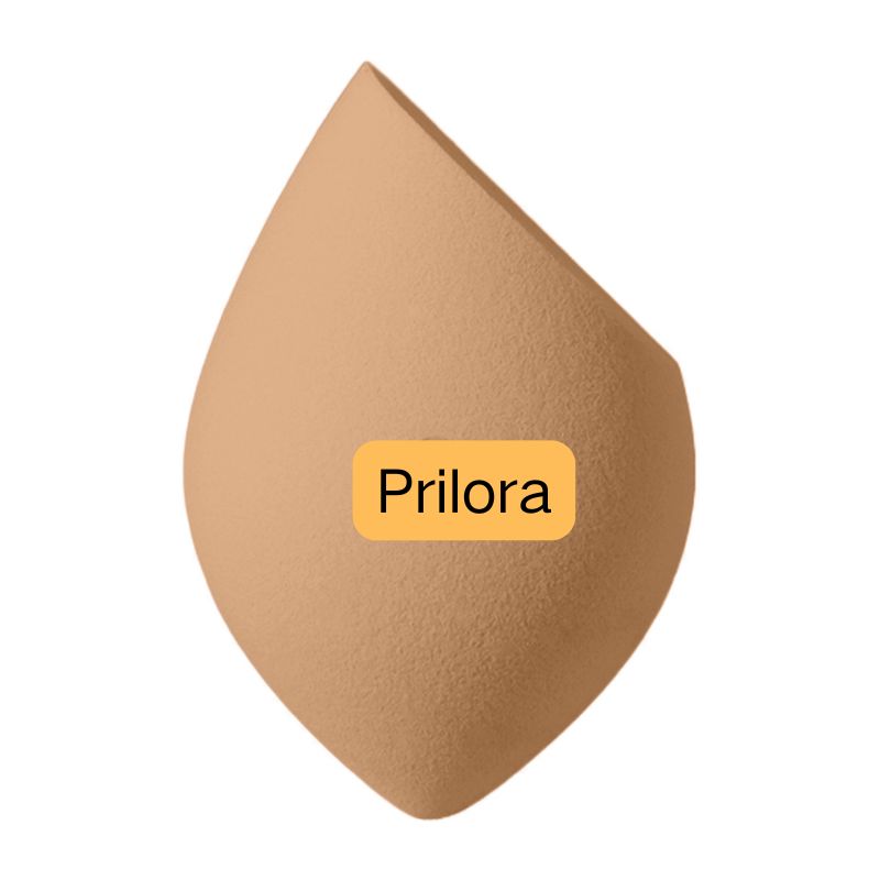 Éponge de Sculpting de Précision